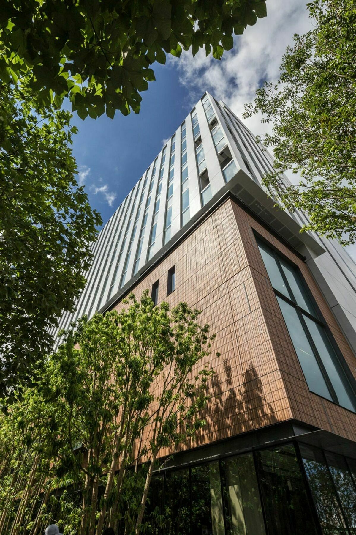 Nihon Seinenkan Hotel Tokyo Ngoại thất bức ảnh
